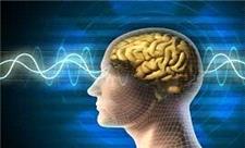 ساخت شبکه عصبی شبیه مغز برای نخستین بار با نانوسیم