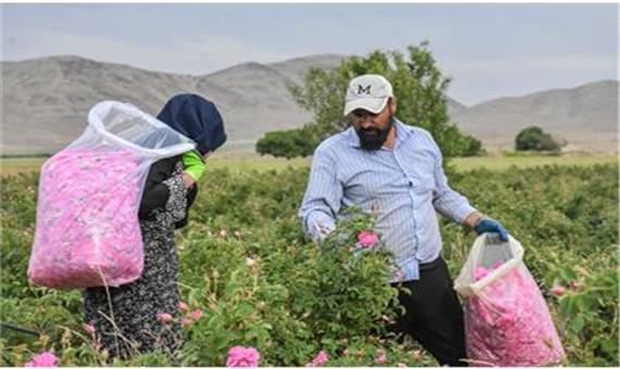 چهار هزار و 641 شغل پایدار در روستاهای استان مرکزی ایجاد شد