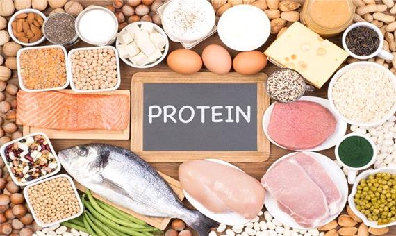 پروتئین رابط اصلی میان سرکوب اشتها و چاقی است