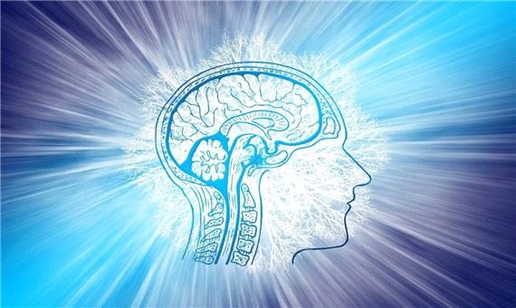 مغز ماشین پیش‌بینی انرژی‌-کارآمد است