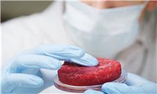 بسیاری از مردم از خوردن گوشت تولیدشده در آزمایشگاه متنفرند