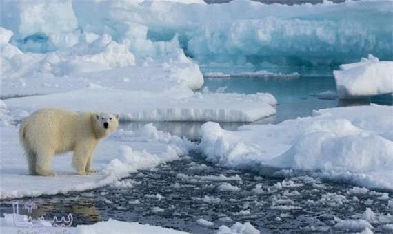 میزان یخ در قطب شمال در تابستان بسیار کم می شود