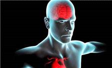 ناهنجاری دهلیز فوقانی قلب خطر زوال عقل را افزایش می دهد