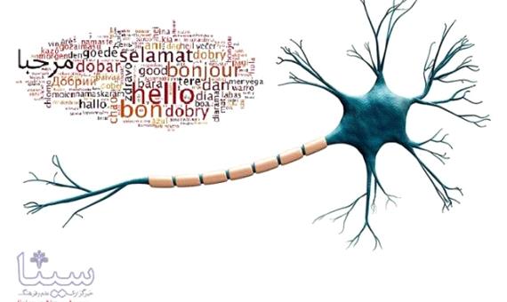 مغز چگونه زبان های خارجی را تحلیل می کند؟