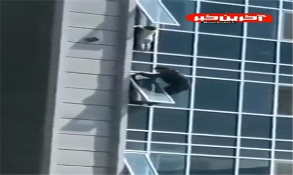 لحظاتی دلهره‌آور از نجات یک کودک خردسال در حال سقوط از یک ساختمان