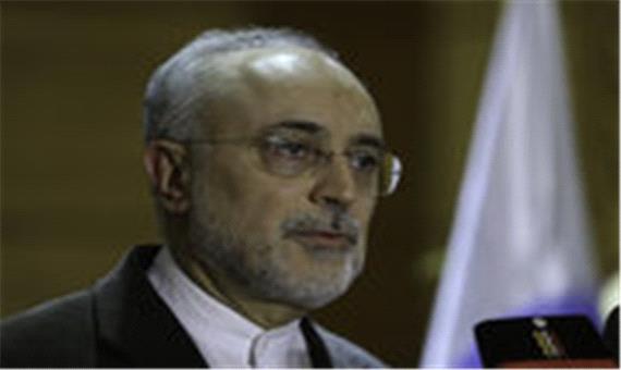 صالحی: ویژگی انقلاب اسلامی اصلاح پذیری آن است