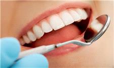 ابداع دارویی برای رشد مجدد دندان در انسان!