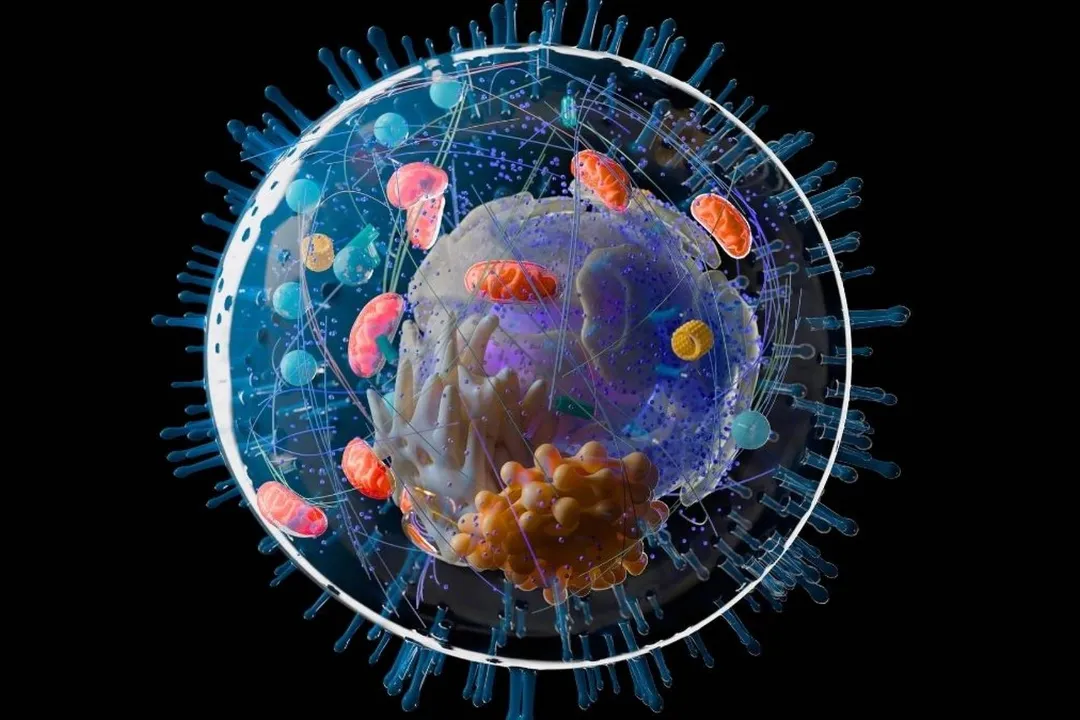 حیات پیچیده روی زمین ممکن است یک میلیارد سال قدیمی‌تر از تصور گذشته باشد