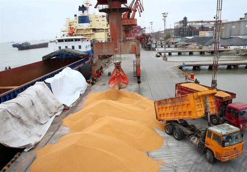 ذخیره ۴ میلیون تن گندم به عنوان ذخایر استراتژیک