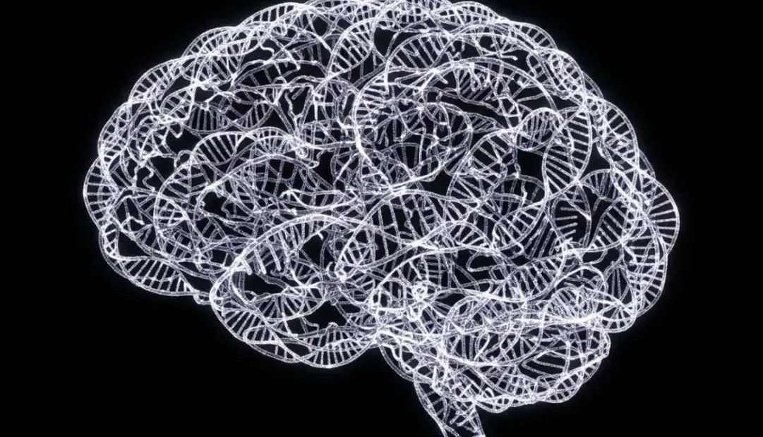 یافته مطالعه‌ای گسترده: اختلالات روانی مختلف ریشه ژنتیکی مشترک دارند