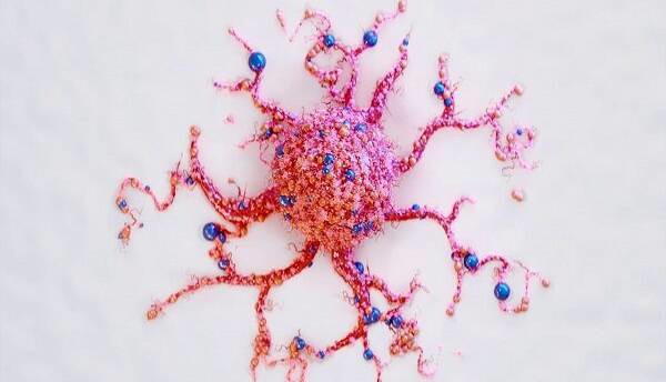 تشخیص سرطان در خانه فقط با تست ادرار!