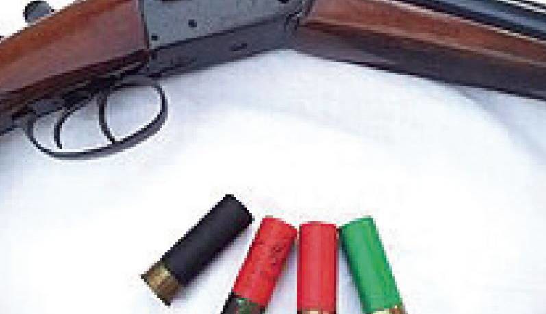 سارقان زعفران، نگهبان را تا یک قدمی مرگ بردند