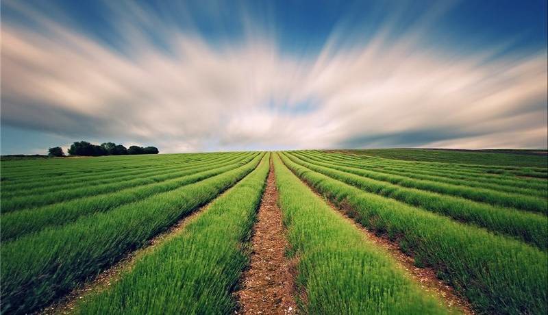 هشدار نارنجی هواشناسی به کشاورزان برای امروز و فردا