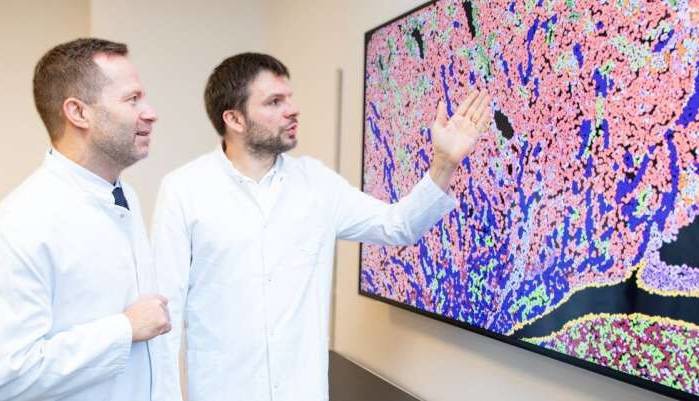 امیدی تازه برای بیماران پیوند کلیه؛ کشف نشانگر پیش‌بینی‌کننده عمر پیوند