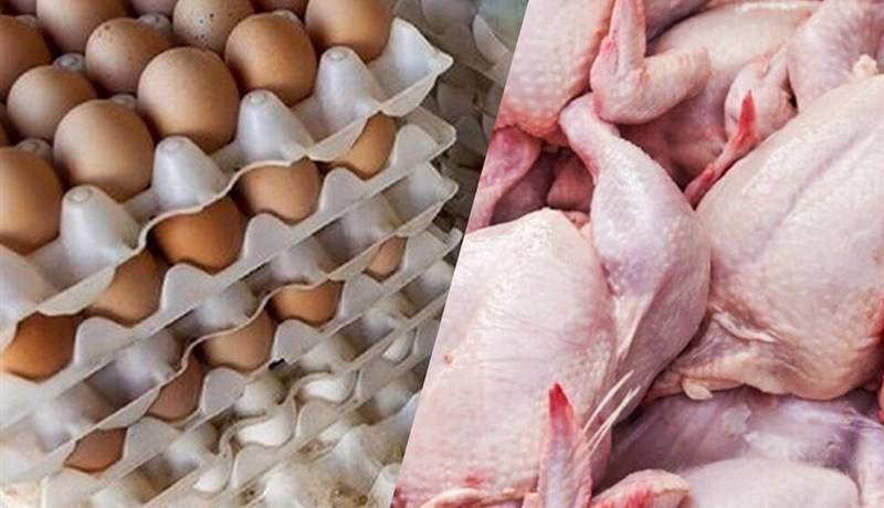 رقابتی شدن تولید مرغ با حذف ارز ترجیحی