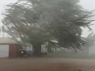 سیل و طوفان برزیل را درنوردید