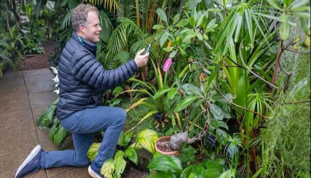 گفتگو با گیاهان با کمک هوش مصنوعی