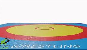 آغاز اردو تیم ملی کشتی فرنگی