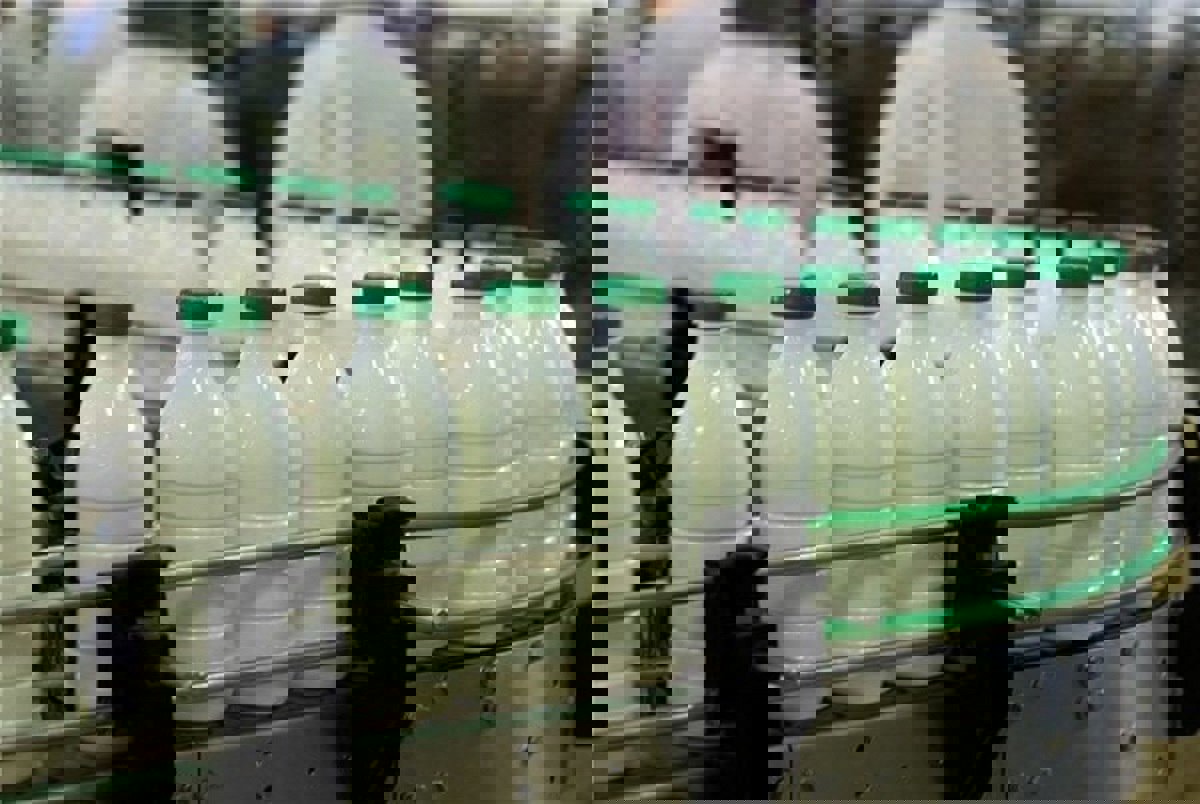 عرضه لبنیات با کالابرگ ۱۰ درصد کمتر از قیمت مصوب