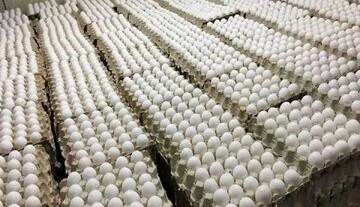 اعتراض روزنامه اصولگرا به ارزانی تخم مرغ