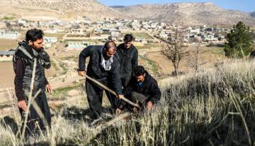 پیش‌بینی تسهیلات کم‌بهره برای روستاییان