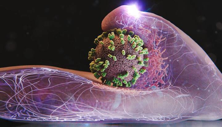 آنفلوآنزا در ۲ شهر بالاتر از سطح هشدار