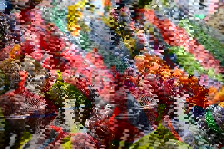 وزیر جهاد و کشاورزی: میوه شب عید ۳ برابر سال گذشته تامین شده است