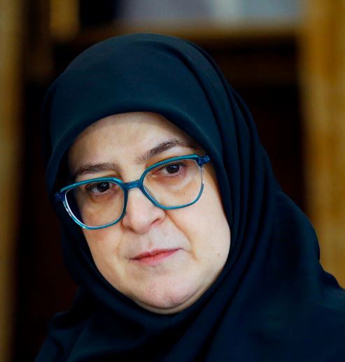 سخنگوی دولت: دشمن از «شکاف داخلی» پیام ضعف می‌گیرد