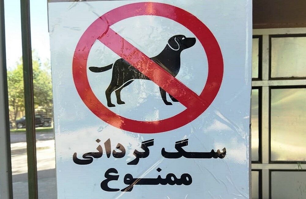 درگیری بر سر سگ‌گردانی، به قتل ختم شد