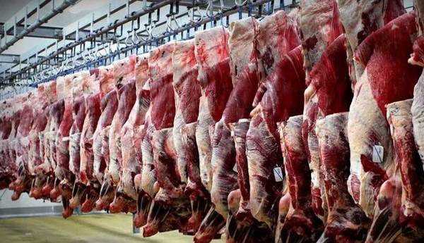 علت نوسان قیمت محصولات پروتئینی در بازار