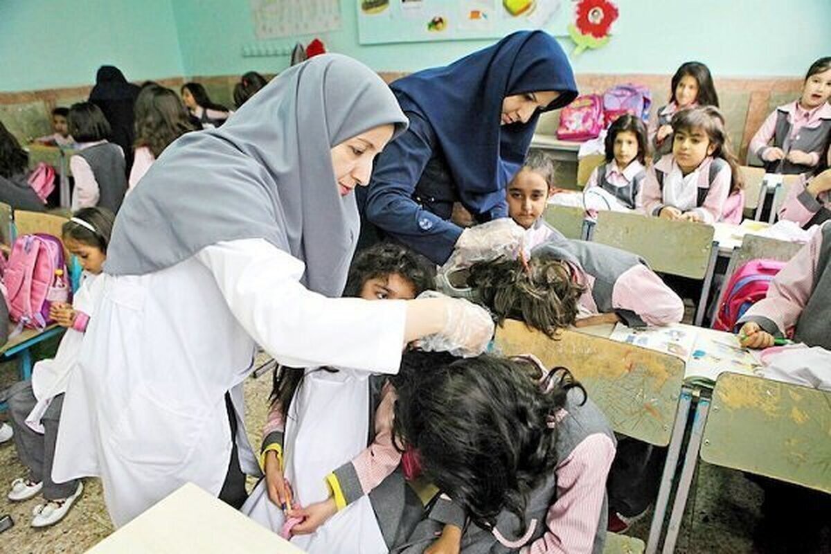 آمار عجیب ابتلا به شپش در مدارس