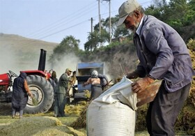 جزئیات آماری از سبد بیمه روستایی