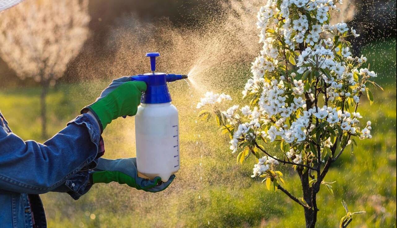 صدها ماده شیمیایی پنهان در آفت‌کش‌ها با سرطان پستان مرتبط است