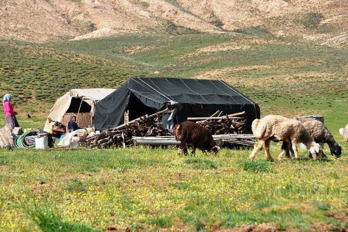 خدمات حقوقی و کارشناسی به عشایر رایگان شد
